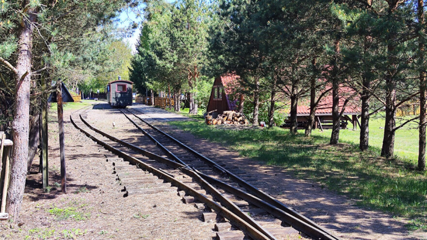 Historická úzkokolejka na své cestě lesem. Nostalgická jízda zpátky v čase