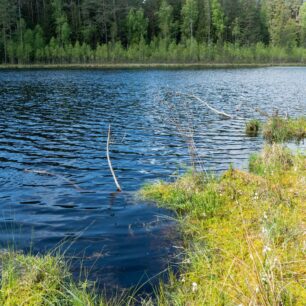 Jeden z desítek sucharů