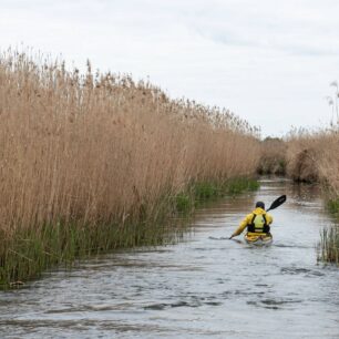 Na kajaku v narwiańském labyrintu. Každá odbočka může vést k novému objevu, nebo do slepé uličky