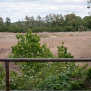 Pilíře Zerwaného Mostu u Kruszewa. Němí svědkové bouřlivé historie 20. století, kteří pamatují dvě světové války