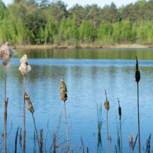 Pohledy na vodní hladinu jsou výjmečne pouze, pokud jim věnujete čas