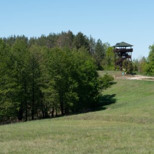 Pozorovacích věží tu je celá řada a jsou překvapivě vhodné k pozorování ptáků a zvěře