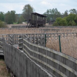 V ploché krajině bažin je každá pozorovací věž jako maják. Nabízí pohled z ptačí perspektivy na nekonečné moře rákosí