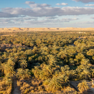 Siwa Oasis