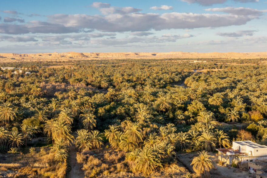 Siwa Oasis