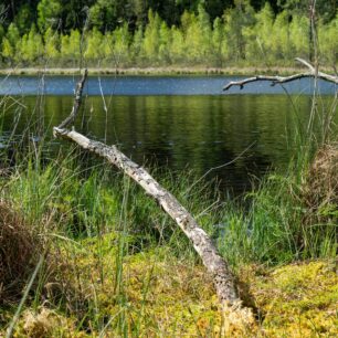 Tajemné jezírko suchar. Tmavá voda a ticho, které můžete skoro slyšet.