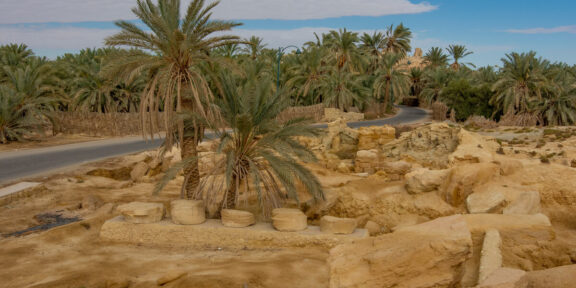 Siwa – oáza faraóna Alexandra  