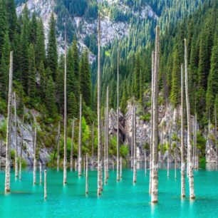 Jezero Kaindi - z vody trčí mrtvé kmeny stromů