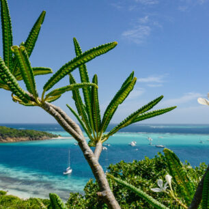 Tyrkysové moře Karibiku