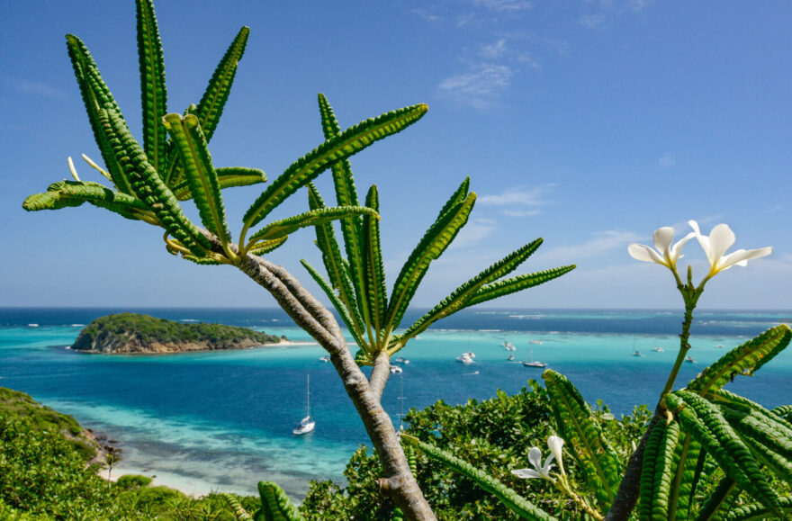 Tyrkysové moře Karibiku