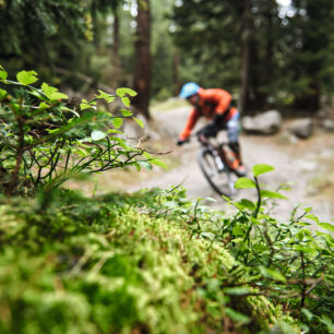 Poschiavo, Enduro MTB Tour. Foto: Switzerland Tourism/Stefan Schlumpf