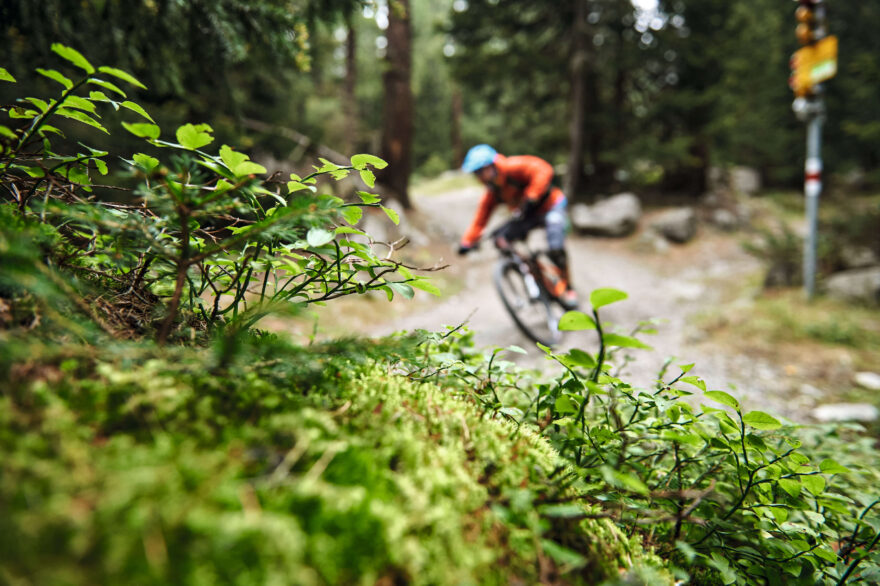 Poschiavo, Enduro MTB Tour. Foto: Switzerland Tourism/Stefan Schlumpf