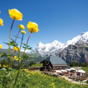 Muerren, Allmendhubel. Foto: Jungfrau Region Tourismus