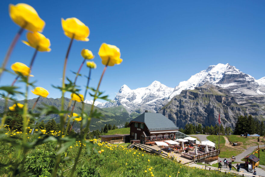 Muerren, Allmendhubel. Foto: Jungfrau Region Tourismus