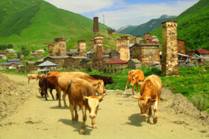 Ushguli