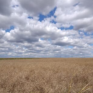 Typická krajina jižního Polska