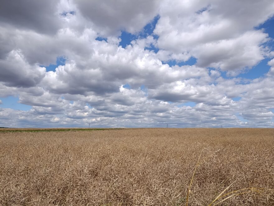 Typická krajina jižního Polska