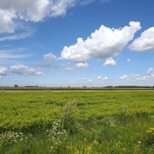 Zemědělská krajina v Povislí