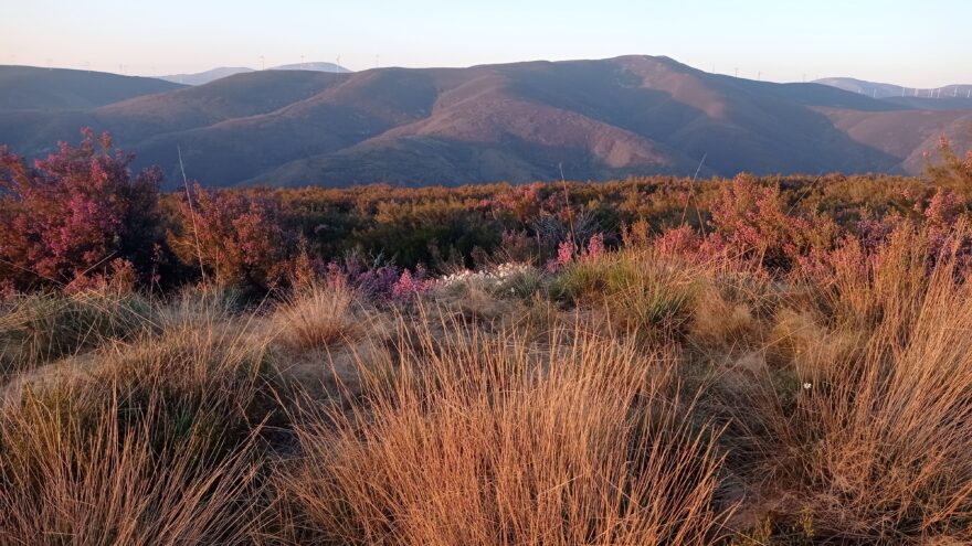 Ráno na hoře Peňa de la Escurpia, 1529 m.n.m., Kantáberské Kordillery