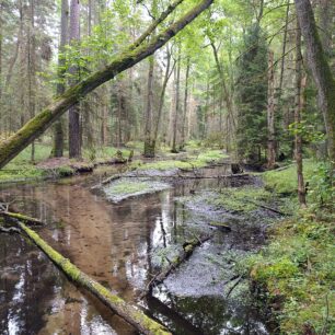 Roztoczanský národní park