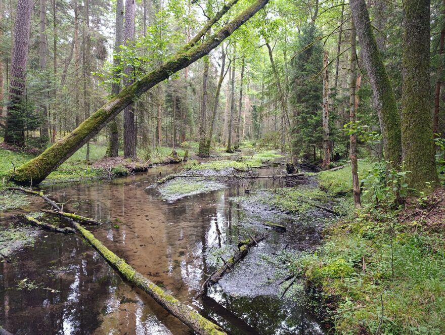 Roztoczanský národní park