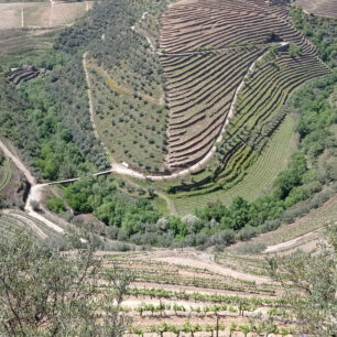 Údolí Doura - zde vzniká portské