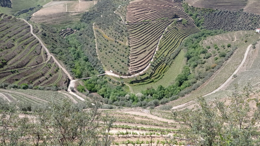 Údolí Doura - zde vzniká portské