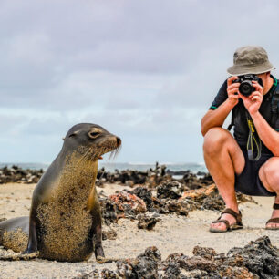 lachtan galapážský