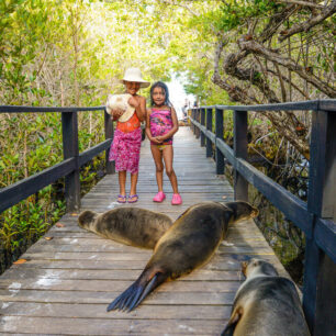 lachtan galapážský