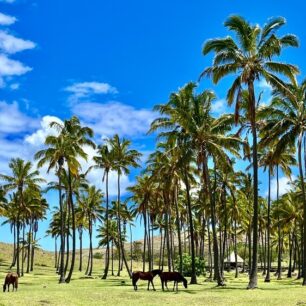 Pláž Anakena Vel. ostrov