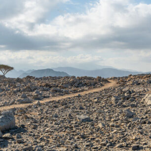 Flora hor Hajar není příliš bohatá, za to je fotogenická