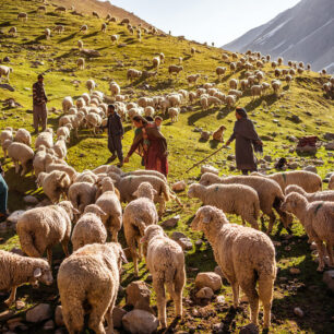 Indičtí pastýři v Kašmíru