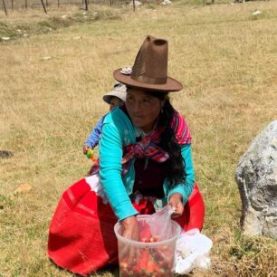 místní peruánka prodává jahody