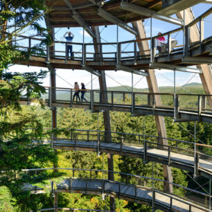 Neuschönau: Stezka v korunách stromů © DZT/Francesco Carovillano