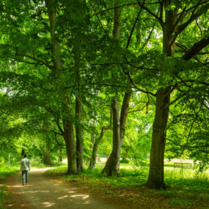 Wiesenburg/Mark: Park Wiesenburg © DZT/Francesco Carovillano