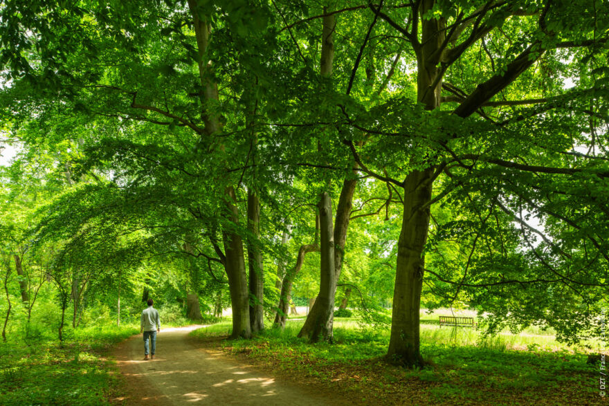Wiesenburg/Mark: Park Wiesenburg © DZT/Francesco Carovillano