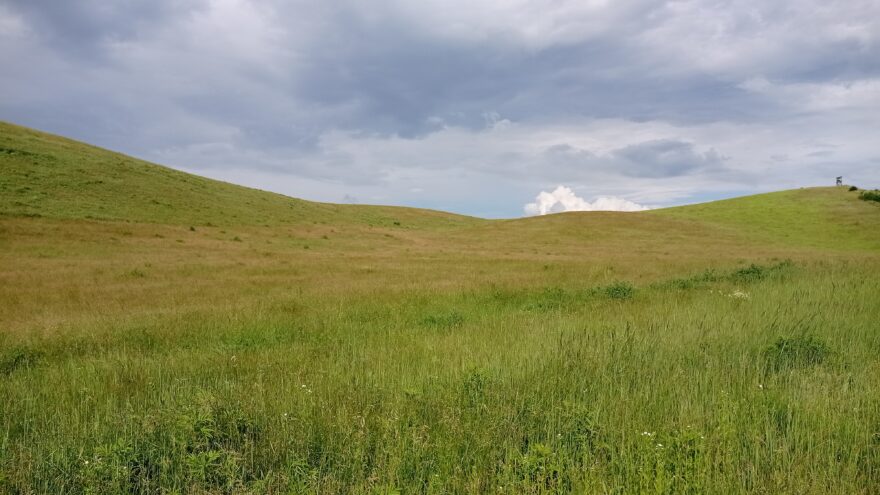 Lučiny na kopcích Cerové vrchoviny u Gemerského Jablonce