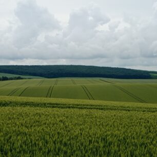 Typická krajina zvlněných polí západního Slovenska, okolí Levic