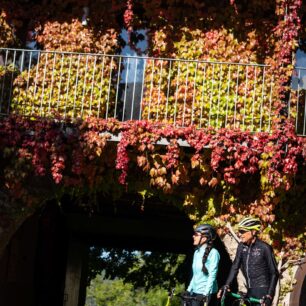 Na kole v Ripollès. Foto: David Rueda