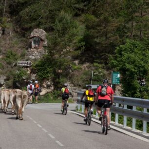 Na kole v Ripollès.