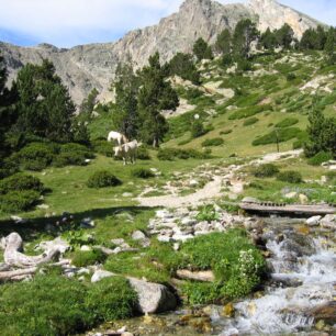 Na kole v Ripollès. Foto: Albert Duch