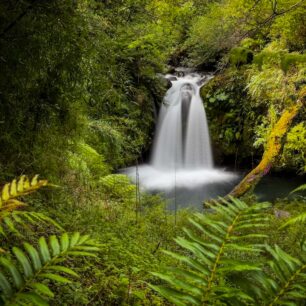 Sedm tisíc kilometrů pěšky přes Chile. Diáky v Kině Aero se tentokrát vydají na konec světa