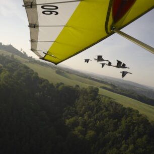 HUSOPAS – příběh, který má křídla