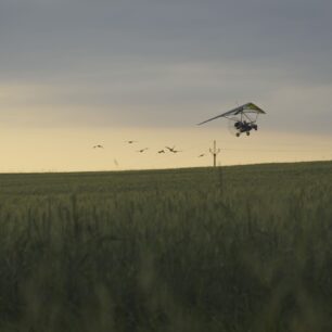 HUSOPAS – příběh, který má křídla