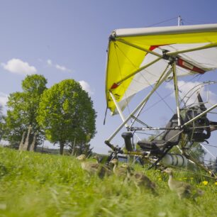 HUSOPAS – příběh, který má křídla