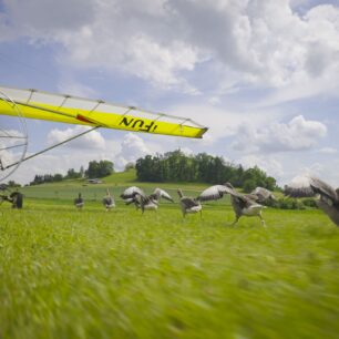 HUSOPAS – příběh, který má křídla