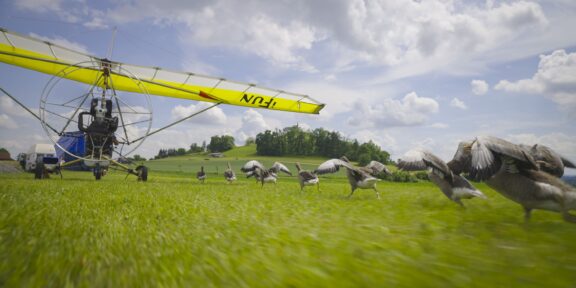 HUSOPAS – příběh, který má křídla