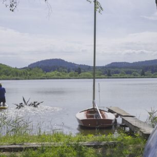 HUSOPAS – příběh, který má křídla