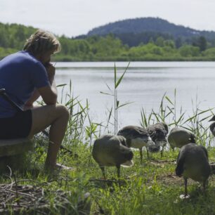 HUSOPAS – příběh, který má křídla