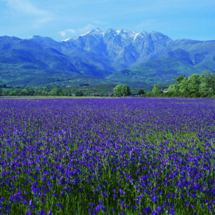 Pohoří Sierra de Gredos. Zdroj: Turespaña